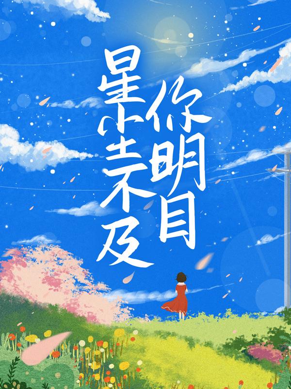 《星尘不及你明目》小说章节目录全文免费阅读