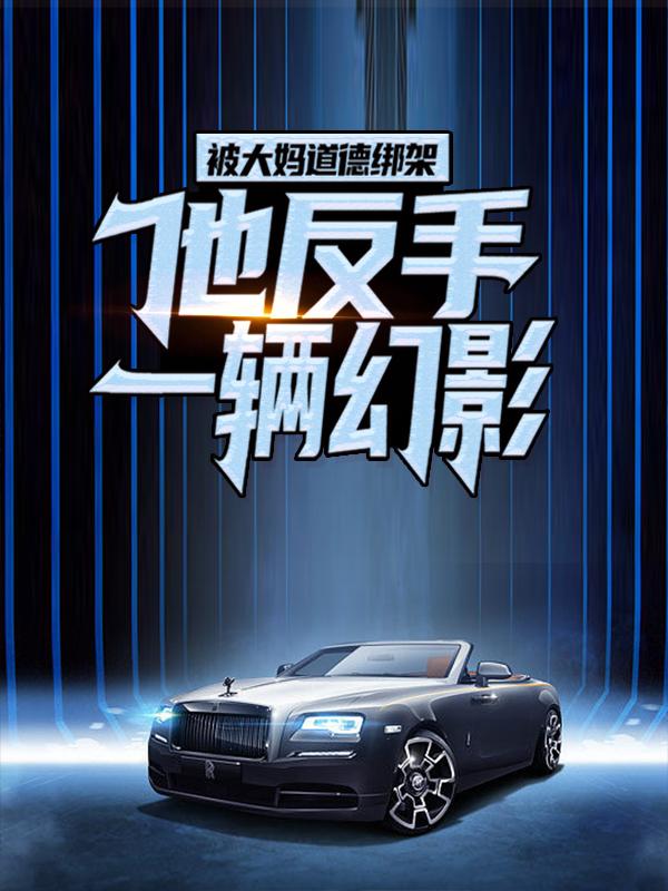 主人公陈风小说被大妈道德绑架，他反手一辆幻影在线全文阅读-经典文学