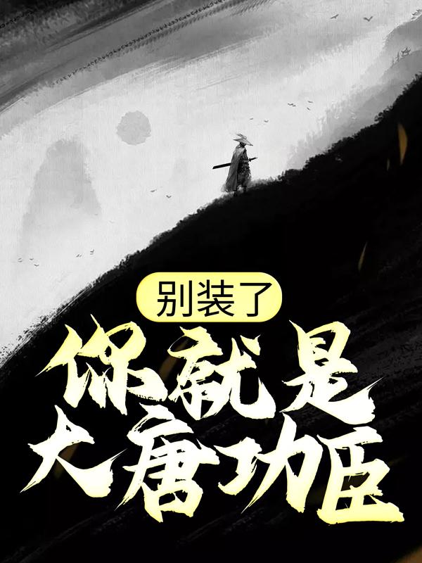 别装了，你就是大唐功臣小说，别装了，你就是大唐功臣徐淼尉迟宝琪
