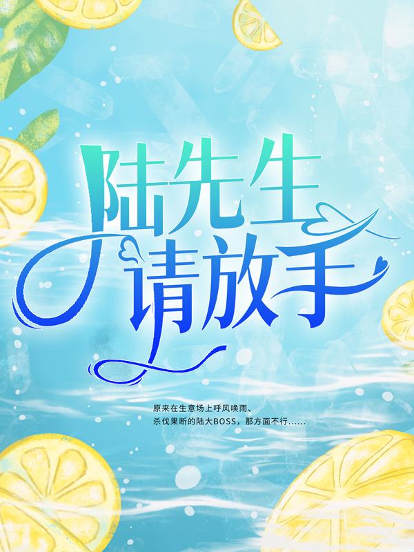 陆先生，请放手小说免费资源，陆先生，请放手在线阅读-经典文学