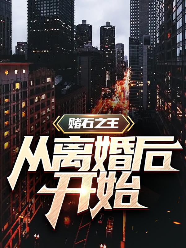 主角叫老王沈复老李小说赌石之王从离婚后开始全文免费阅读