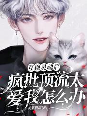 小说《互换灵魂后疯批顶流太爱我怎么办》全文免费阅读-经典文学