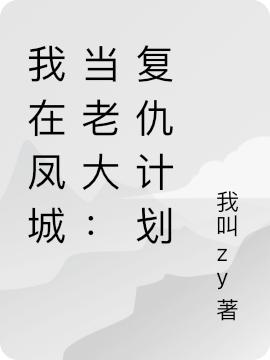我在凤城当老大:复仇计划