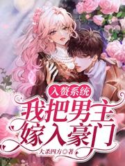入赘系统:我把男主嫁入豪门