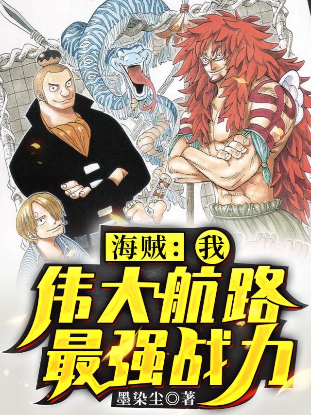 海贼：我，伟大航路最强战力免费阅读，海贼：我，伟大航路最强战力公叔赞布王洛巴基-优文网
