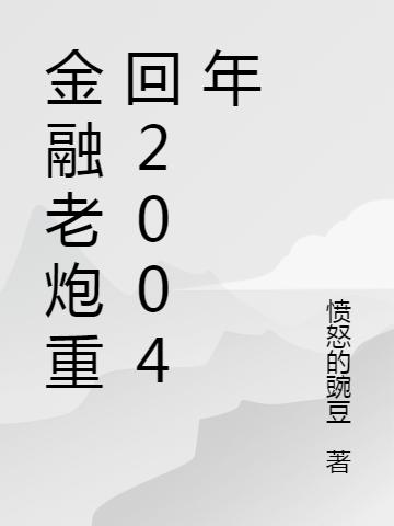 金融老炮重回2004年