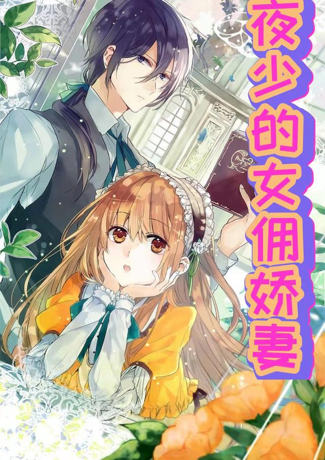 高冷夜少的小女佣