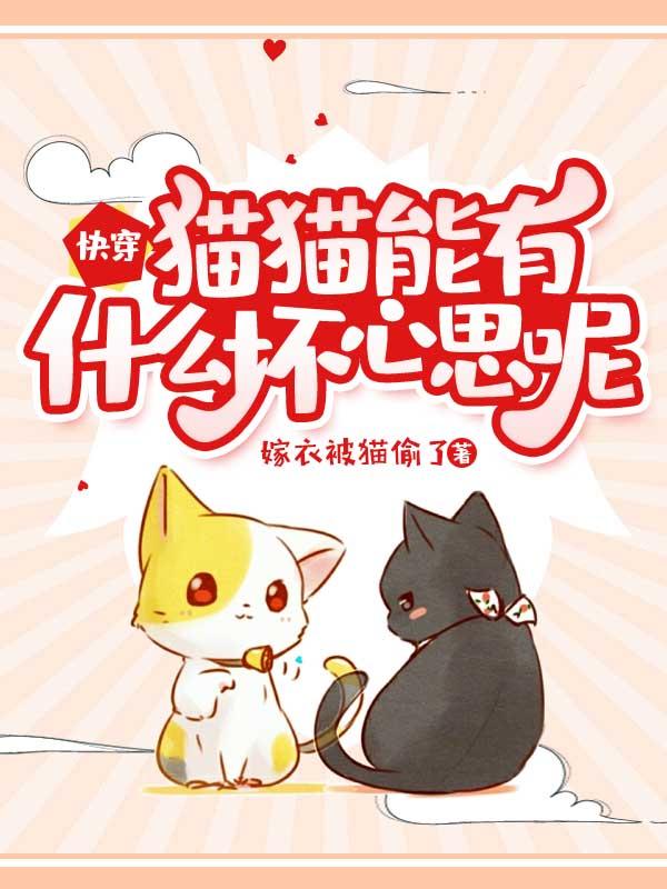 男女主人公阿淼兰伯伯小说快穿：猫猫能有什么坏心思呢全文免费阅读