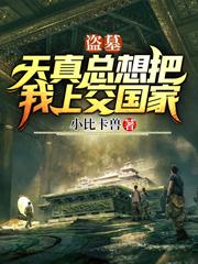 盗墓：天真总想把我上交国家小比卡兽，盗墓：天真总想把我上交国家小说免费阅读