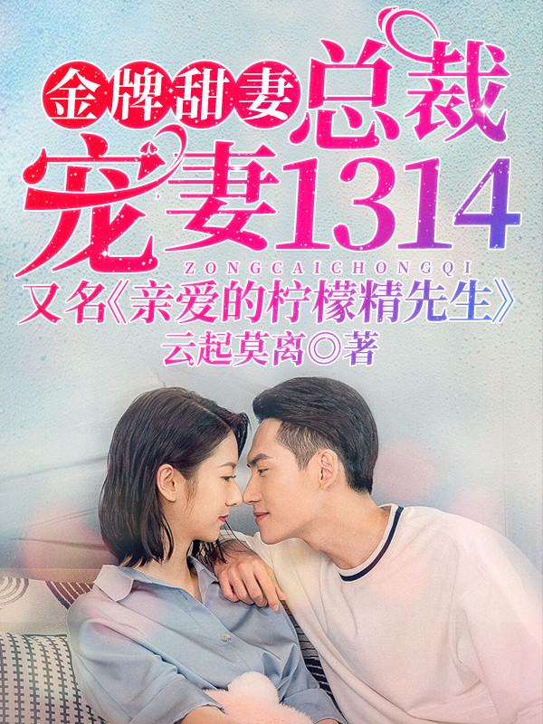 小说《金牌甜妻，总裁宠婚1314》全文阅读-优文网