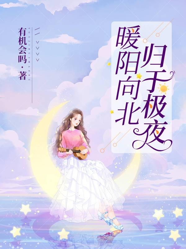 暖阳向北,归于极夜