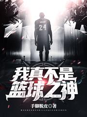 完整版《我真不是篮球之神》txt下载