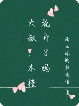 大叔，木槿花开了吗小说完整版全文免费阅读