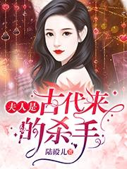 夫人是古代来的杀手！