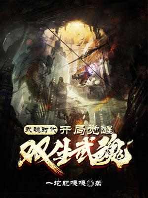 陈凡李菲菲小说《身为主角，觉醒双生武魂没问题吧》在线阅读