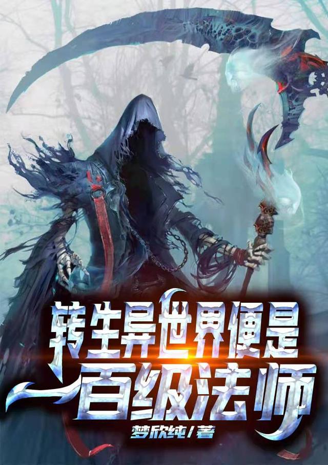 小说《转生异世界便是一百级法士》在线全文阅读