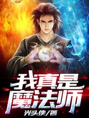 小说《我真是魔法师》在线全文阅读