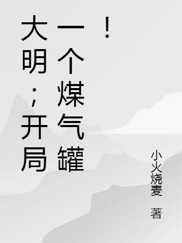 大明:开局一个煤气罐!