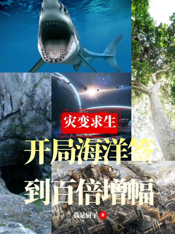 林生沈灵小说在哪里可以看