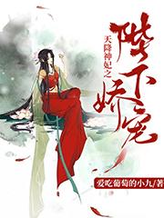 天降神妃之陛下娇宠苏云烟慕宸白子墨织画小说免费阅读