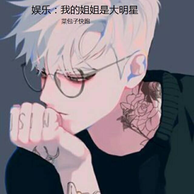 娱乐：我的姐姐是大明星免费阅读，娱乐：我的姐姐是大明星章节目录