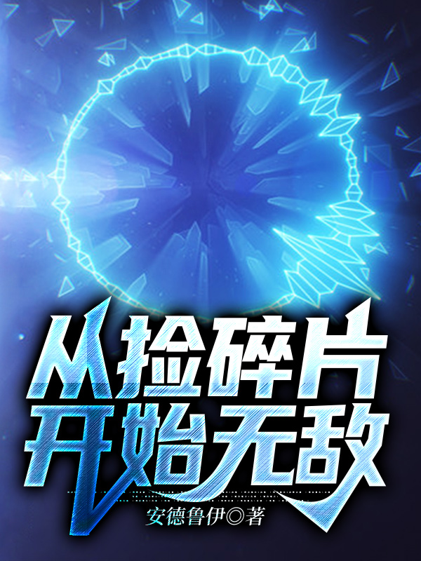 从捡碎片开始无敌主角叶枫小说完整版全文在线阅读-优文网