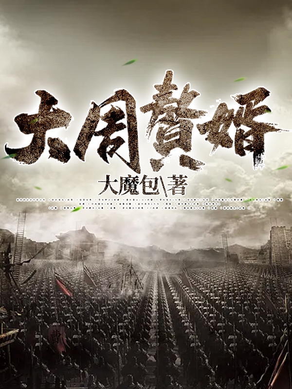主人公叫刘瑞的小说大周赘婿在线阅读全文-书格格