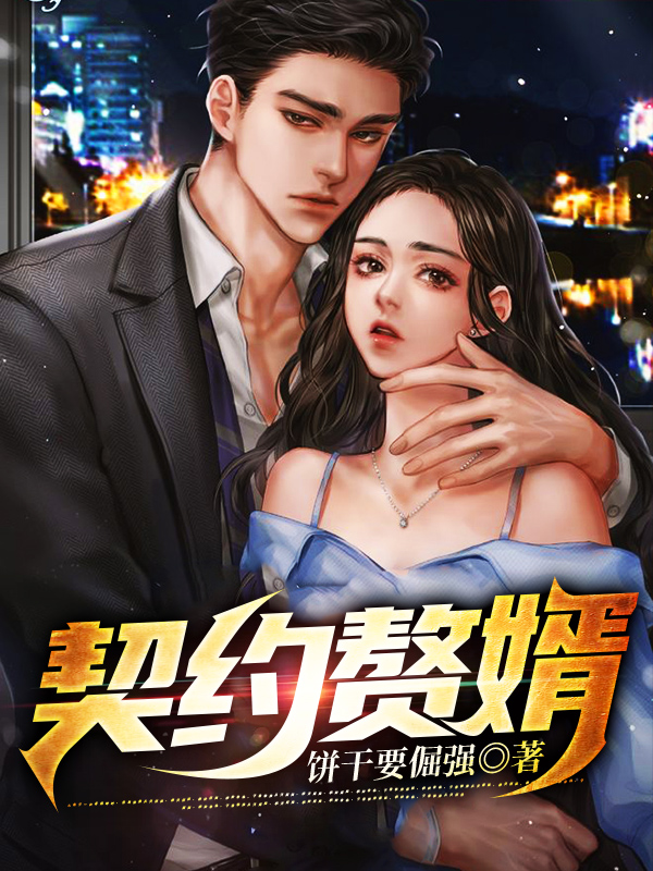 契约赘婿小说，契约赘婿聂林叶南