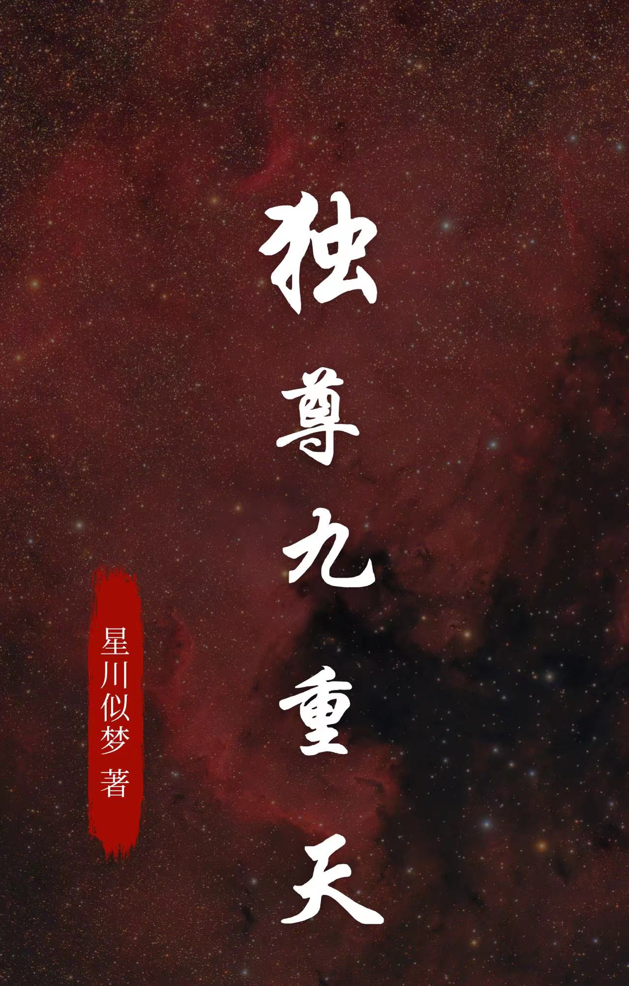 《独尊九重天》小说章节列表免费试读，凌尘小说在线阅读