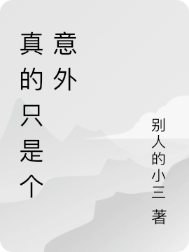 完整版《真的只是个意外》免费阅读