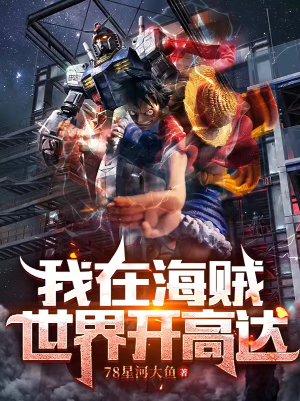 我在海贼世界开高达小说完整版全文免费阅读