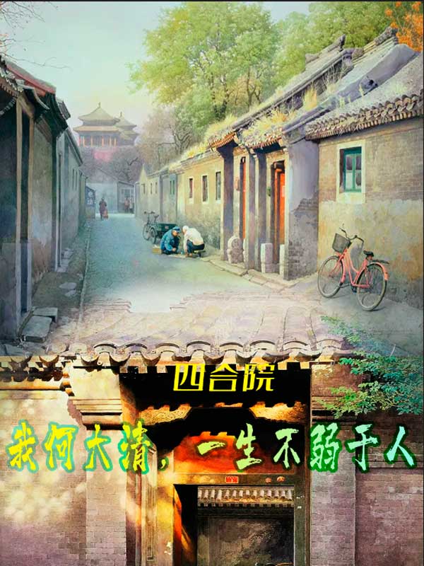 主角是何大清的小说四合院：我何大清，一生不弱于人完整版阅读