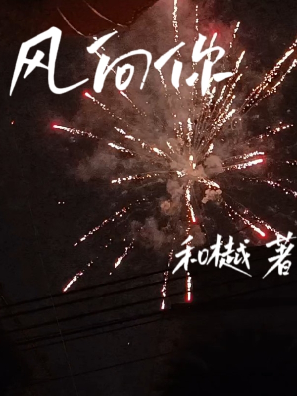 《风向你》全集免费在线阅读（姜允林诺）