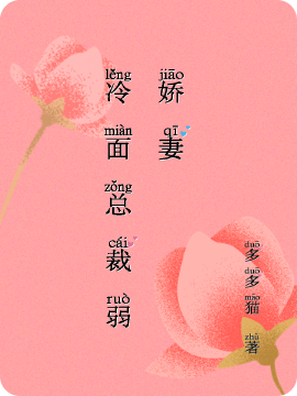 冷面总裁弱娇妻全文免费阅读，莫冉乔政年小说最新章节阅读