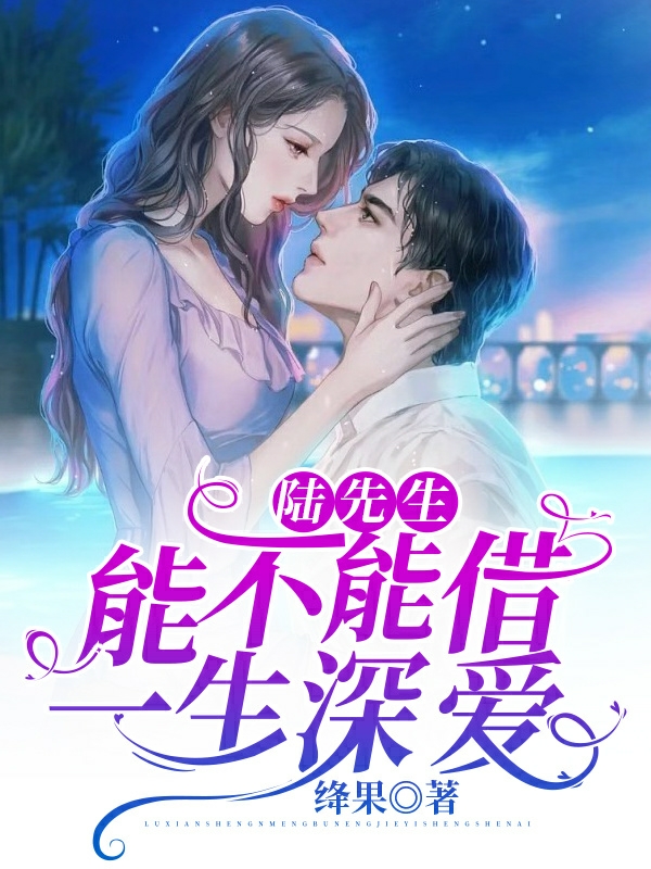 夏茗荞陆南城陆先生，能不能借一生深爱小说在线推荐