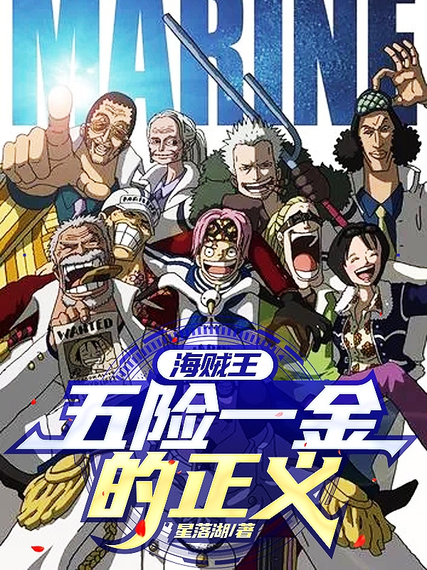 海賊王五險一金的正義