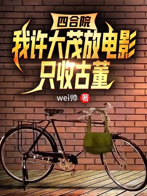 主人公许大茂小说四合院：我许大茂放电影只收古董在线全文阅读-优文网