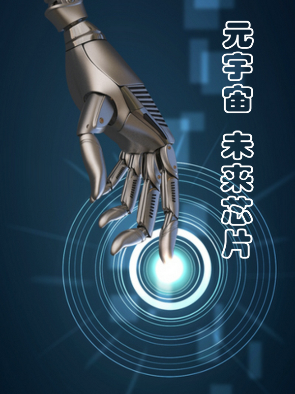 叶川小说（元宇宙：未来芯片全文免费阅读）-美文小说