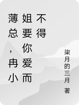 薄总，冉小姐要你爱而不得小说，薄总，冉小姐要你爱而不得冉鸢薄琰宸