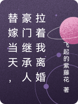 替嫁当天，豪门继承人拉着我离婚时战霆苏颜小说免费阅读
