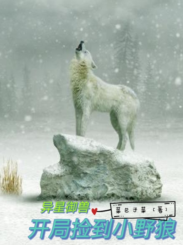 异星御兽：开局捡到小野狼免费阅读