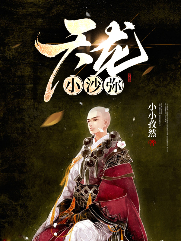 天龙小沙弥免费阅读