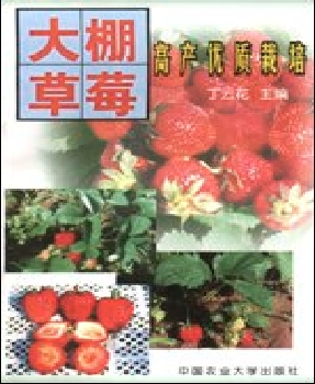 大棚草莓高产优质栽培