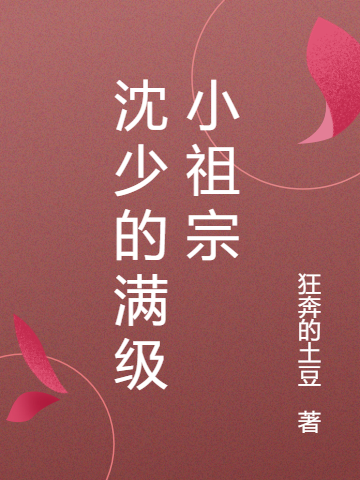 沈少的满级小祖宗林念沈清淮，沈少的满级小祖宗在线无弹窗阅读