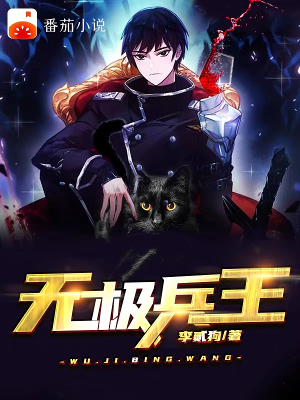 已完结小说《无极兵王》全文免费阅读