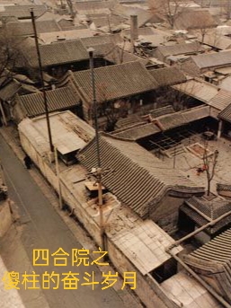 四合院之傻柱的奋斗岁月最新章节（何雨柱，叶郁蒲小说全文阅读）-够力荐小说推荐网