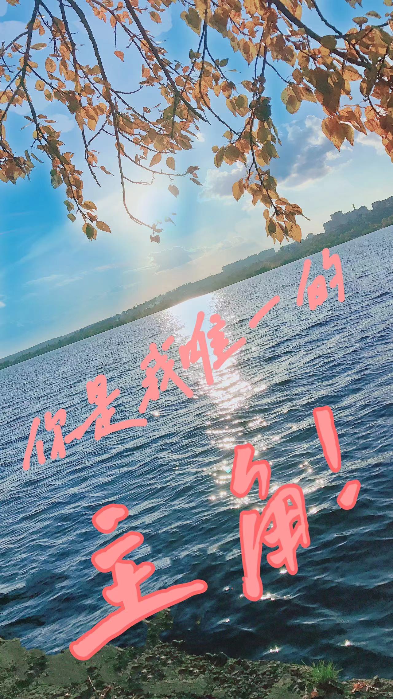 完整版《你是我唯一的主角！》章节目录在线阅读