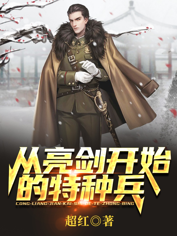 叶正阳小说在线全文免费阅读（从亮剑开始的特种兵无弹窗无删减）-优文网