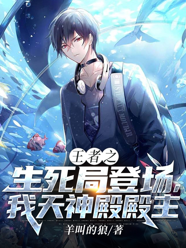 主角叶枫小说完整版在线阅读，王者之生死局登场，我天神殿殿主免费看-优文网