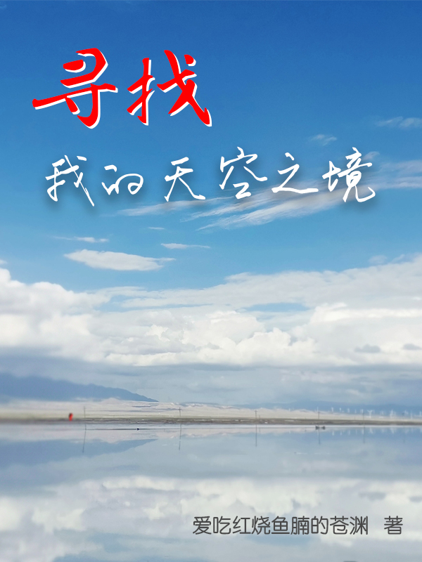 刘畅小说章节目录阅读，寻找我的天空之境在线看